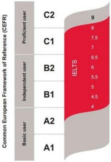 Report figure