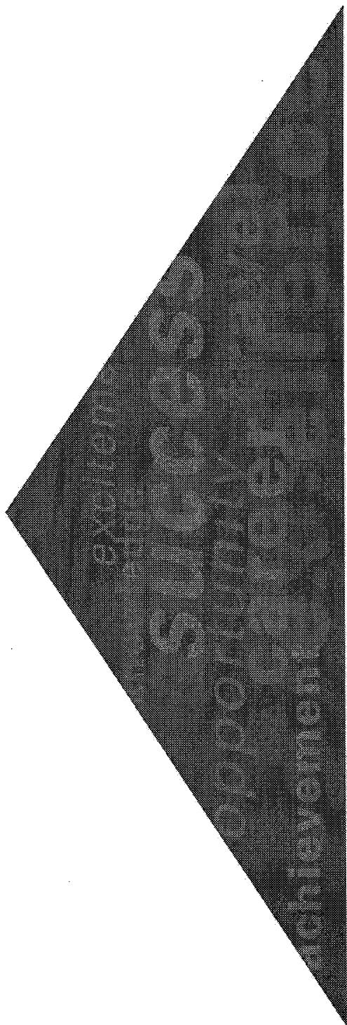 Report figure