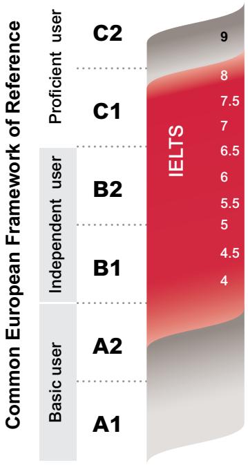 Report figure